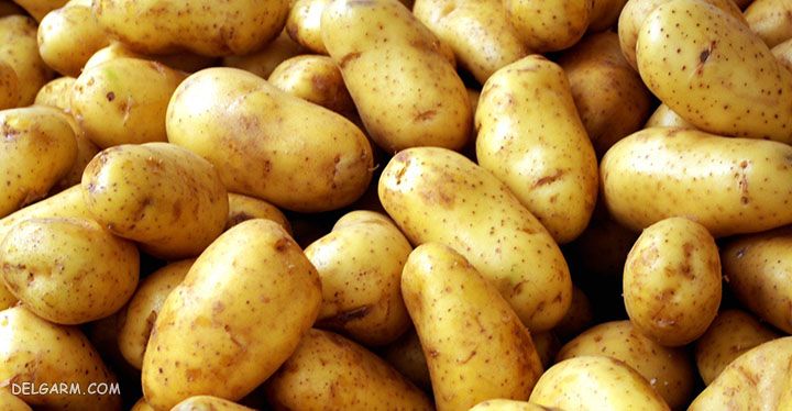 فریز کردن مواد غذایی / کدام مواد غذایی را فریز نکنیم 