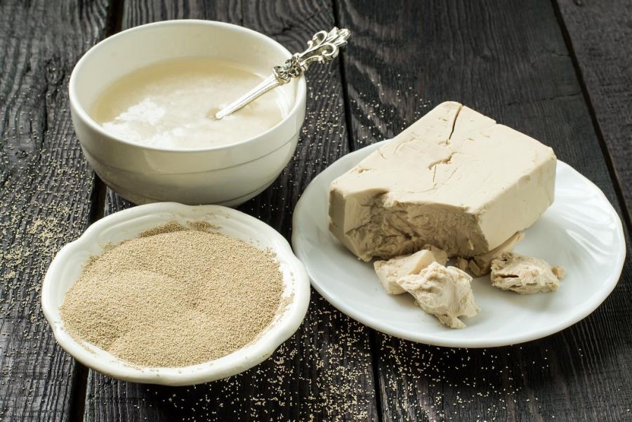 خمیر مایه | نکات مهم و اساسی هنگام استفاده از خمیر مایه (2 نکته مهم) خمیر مایه | نکات مهم و اساسی هنگام استفاده از خمیر مایه (2 نکته مهم)