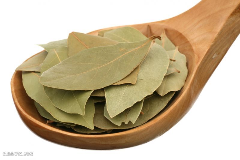 ادویه های خوش طعم کننده غذا