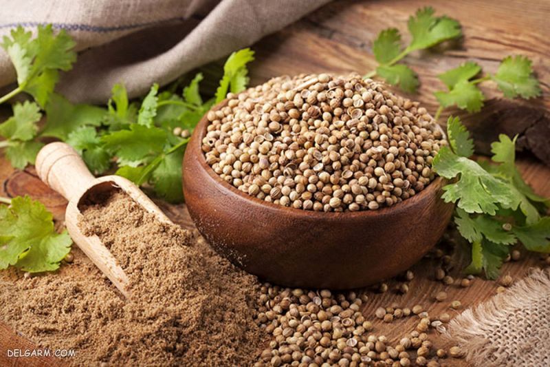 ادویه های مهم