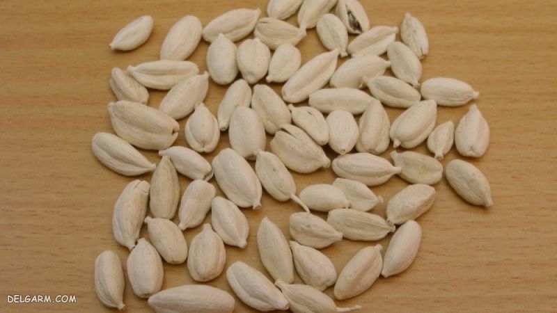 ادویه غذا