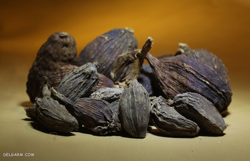 ادویه غذا