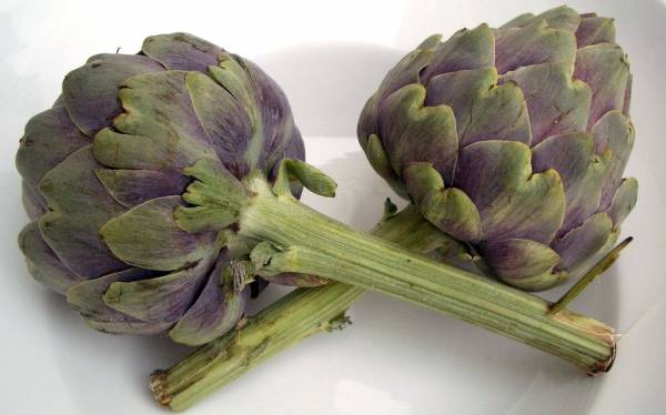 طرز شستن کنگر