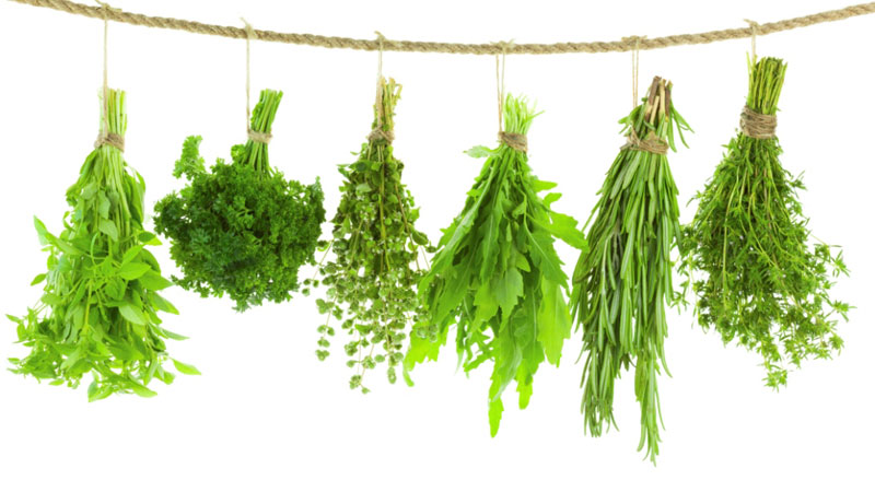 سبزی قلیه ماهی | سبزی قلیه ماهی شامل چه سبزهایی است ؟ (2 نکته مهم)