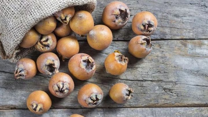طرز تهیه دمنوش ازگیل و بهترین زمان مصرف آن