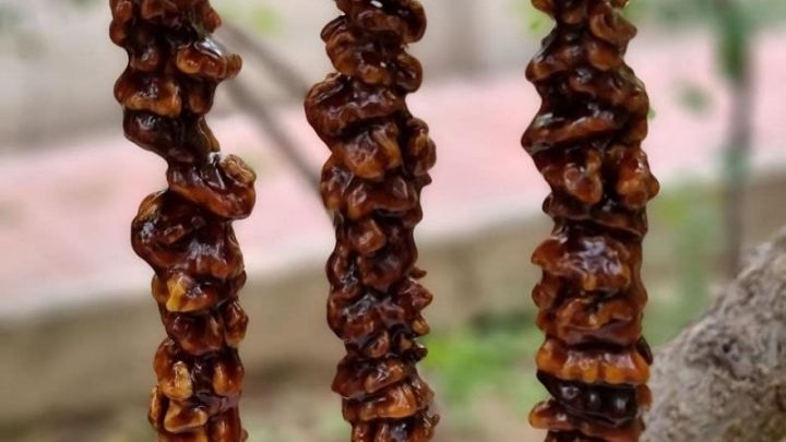 رسپی سوجوق انار به ساده‌ترین شکل ممکن