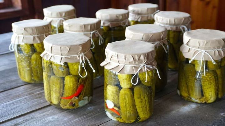 بهترین محل نگهداری خیارشور