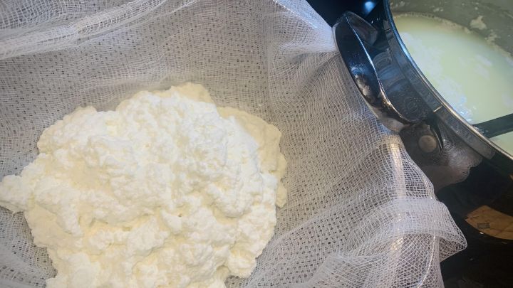 تهیه پنیر خانگی با شیر خراب شده