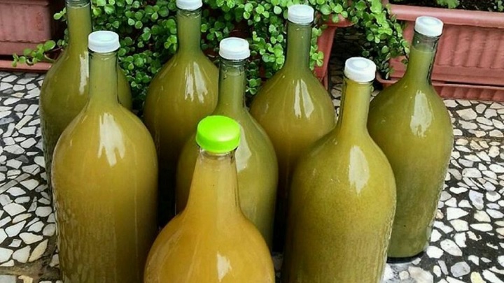افزایش چربی سوزی از خواص آبغوره برای کبد چرب