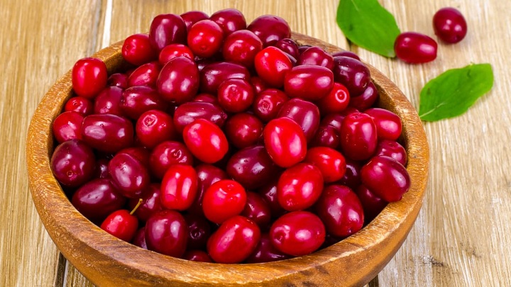 بهترین زمان مصرف زغال اخته
