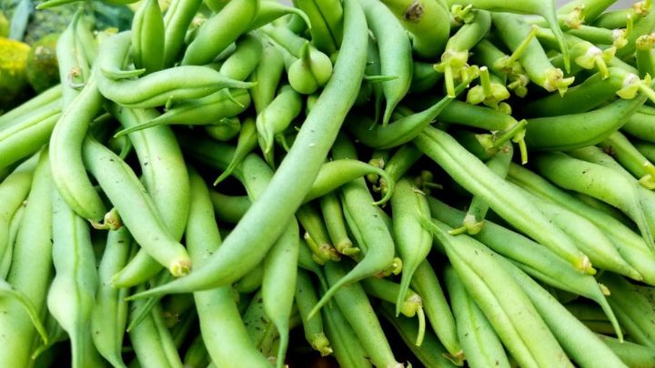 کنسرو کردن لوبیا سبز با گوجه فرنگی
