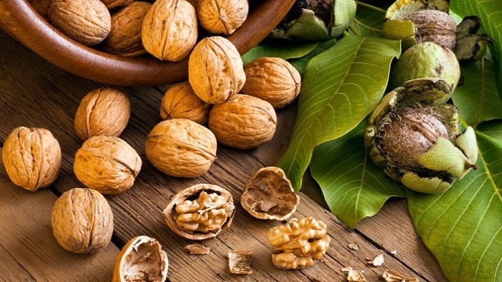 رسپی دمنوش پوست سبز گردو تازه