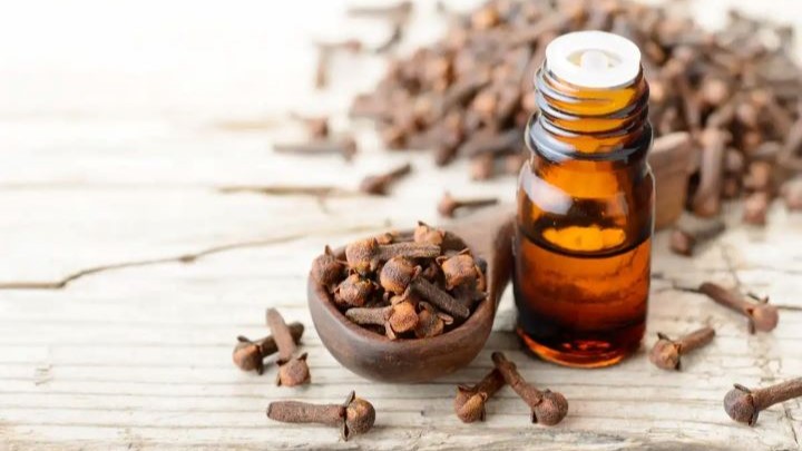 خواص میخک - کاهش وزن با روغن میخک