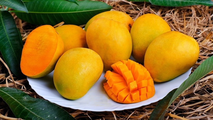 به رنگ میوه توجه کنید برای انبه رسیده