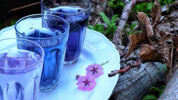 نکات و فوت و فن‌های تهیه شربت گل پنیرک
