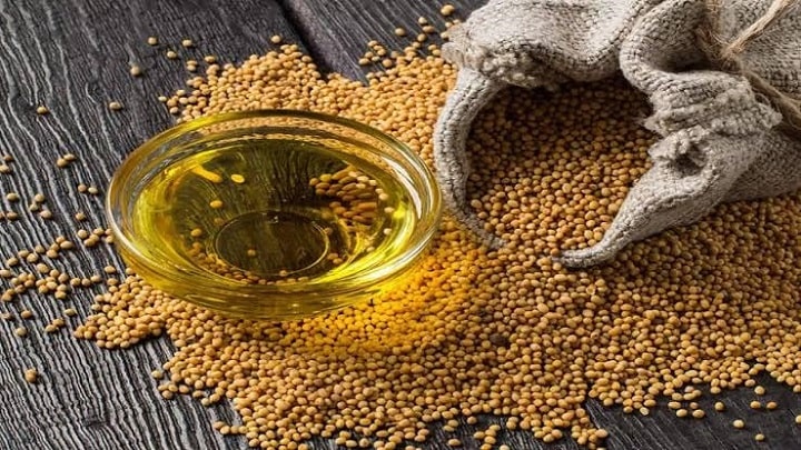 دانه خردل از ادویه‌های کمتر شناخته شده در آشپزی