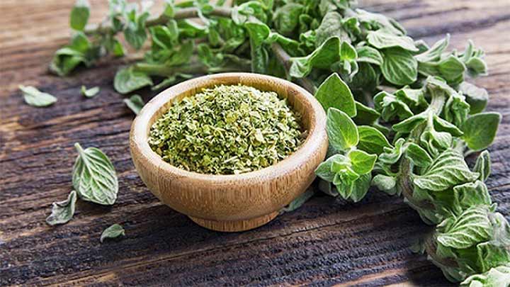 عوارض جانبی و محدودیت‌های استفاده از پونه