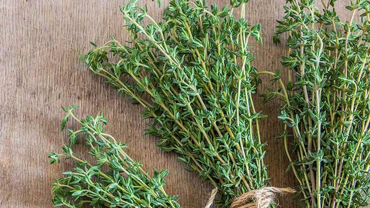 خواص آویشن برای چشم