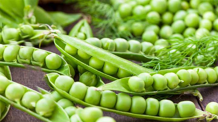 نخود فرنگی برای کنترل سالم قند خون و دیابت نوع 2!