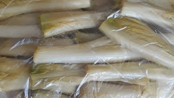 روش نگهداری کنگر خام در یخچال