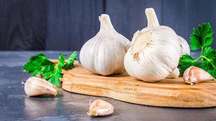 رفع بیماری‌های تنفسی از فواید خوردن سیر ناشتا