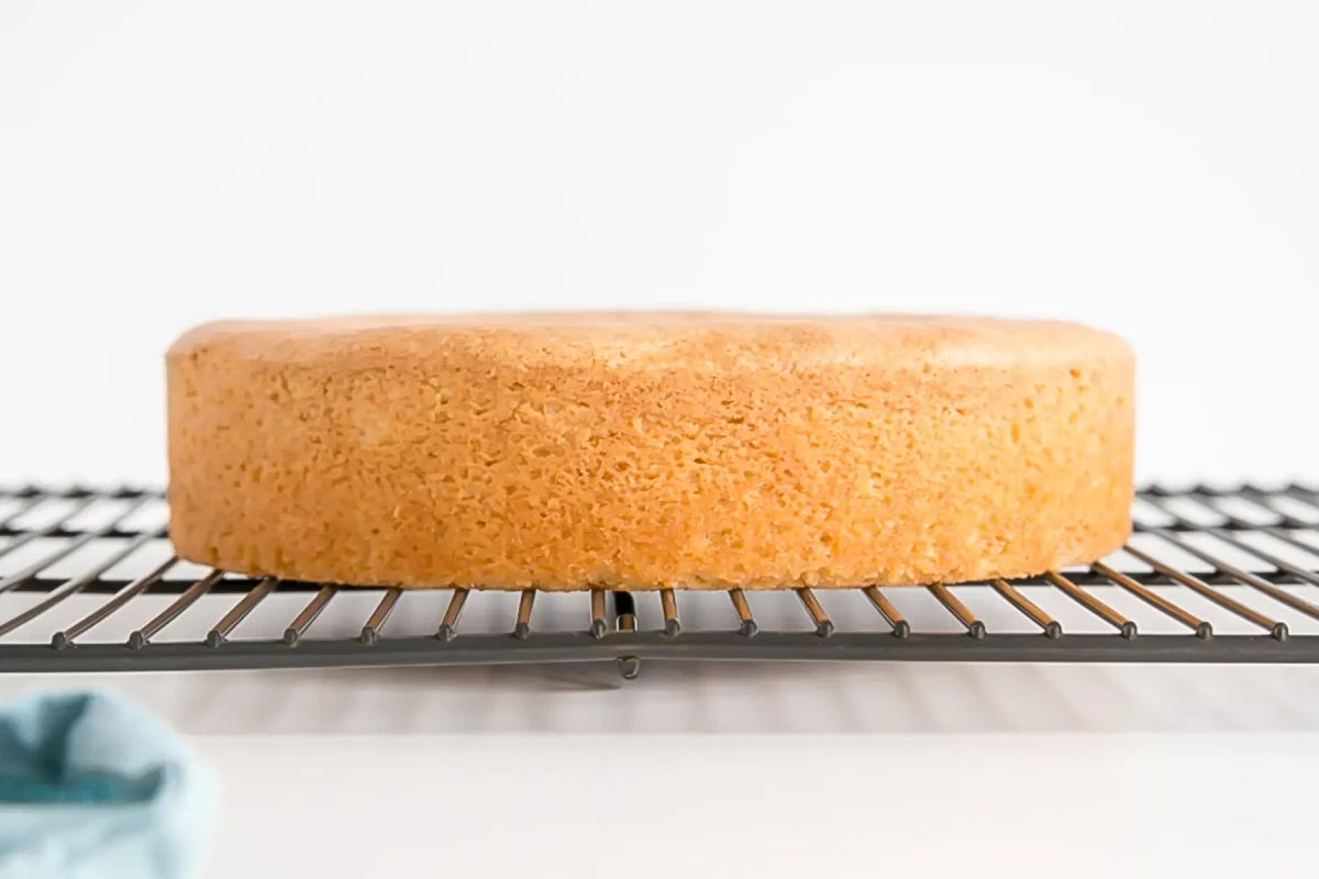 دلایل اصلی خمیر شدن و پف نکردن کیک (مرحله به مرحله) دلایل اصلی خمیر شدن و پف نکردن کیک (مرحله به مرحله)