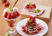 بری پارفه یا پارفه توت فرنگی (مرحله به مرحله)