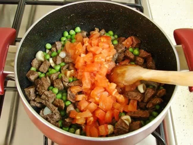 کباب مجاری مخصوص