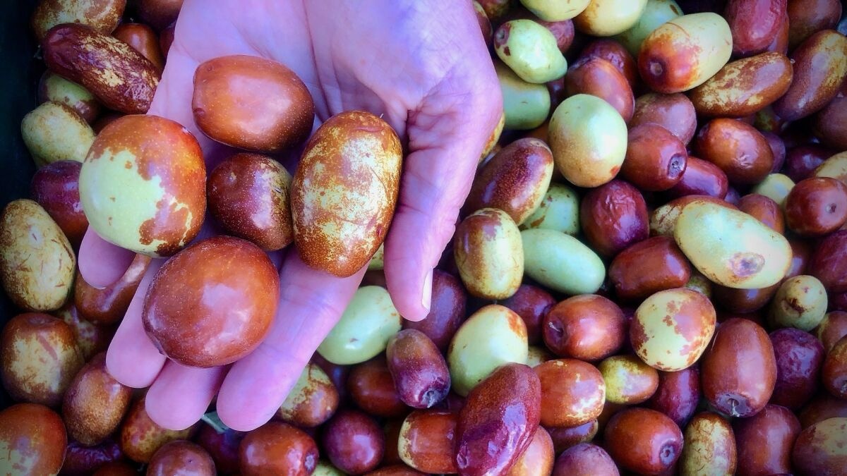 دستور تهیه ترشی عناب