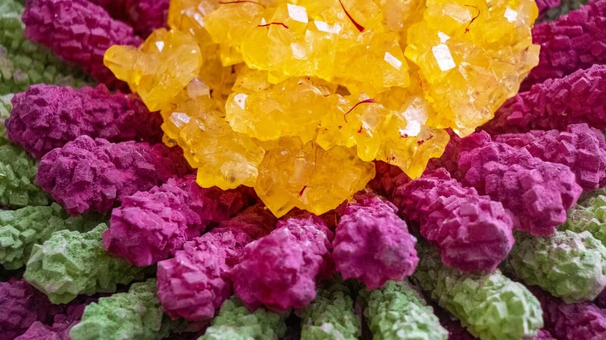 نبات رنگی