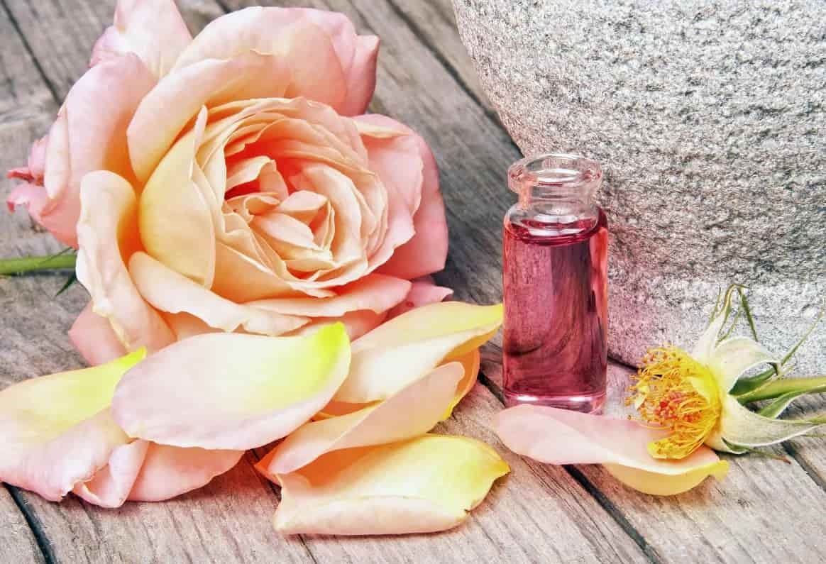خواص و کاربرد گلاب دو آتیشه