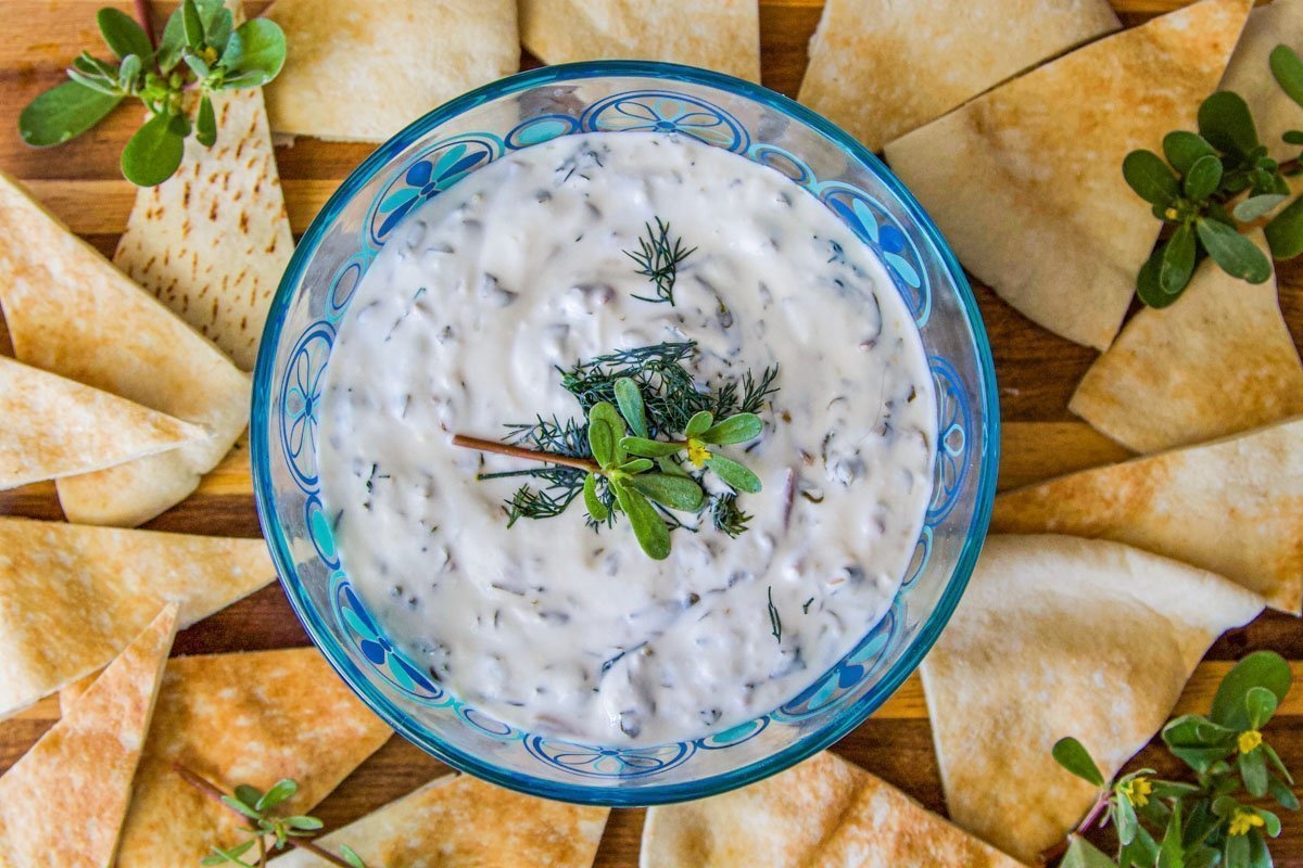 دستور تهیه کشک خرفه محلی