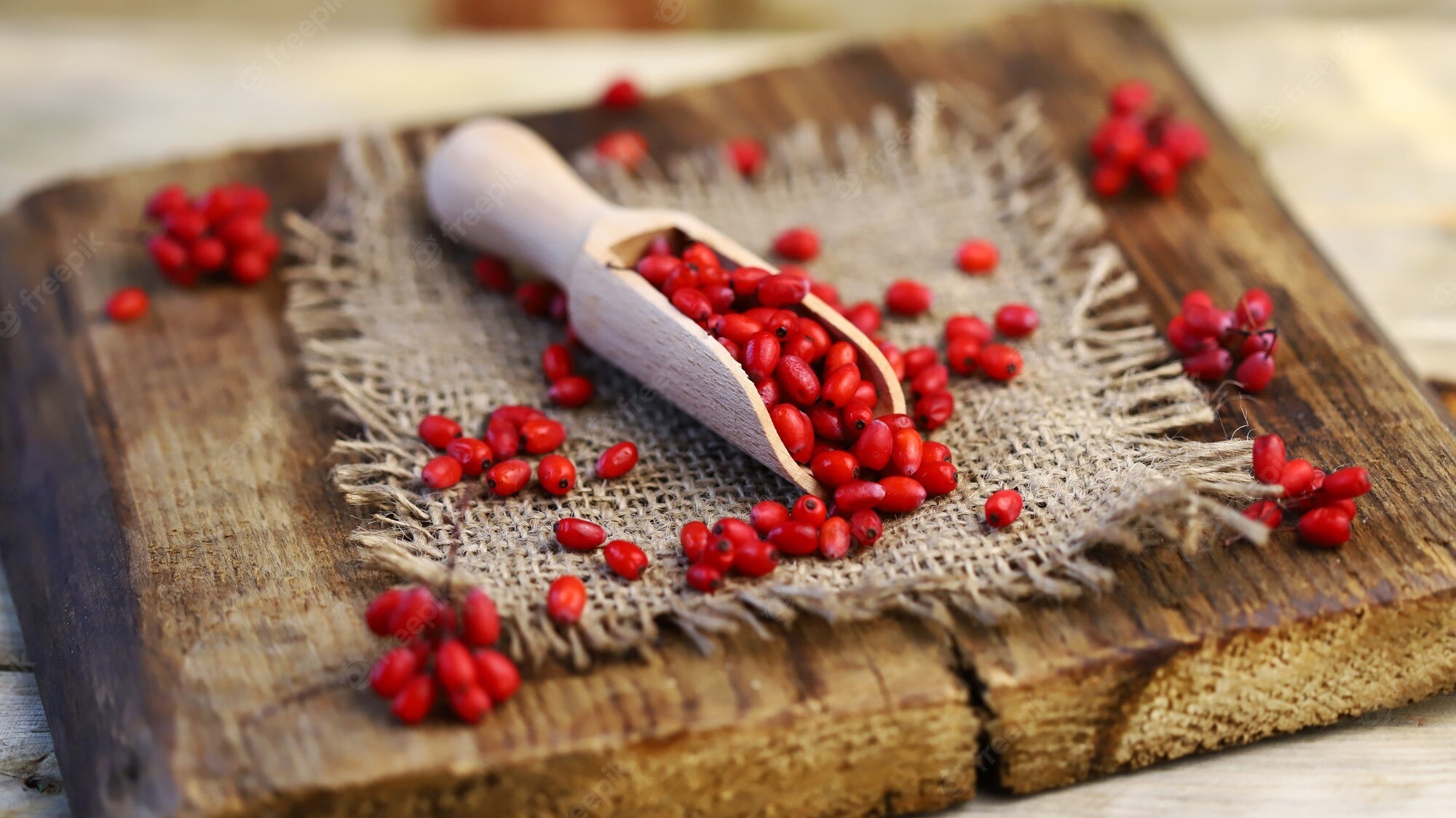 دستور تهیه کیک زرشک