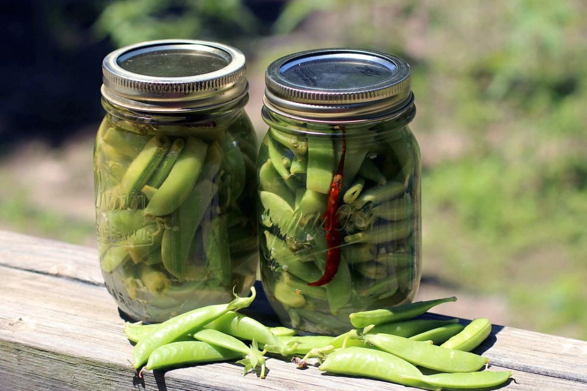 دستور تهیه ترشی نخود فرنگی فوری و خوشمزه (مرحله به مرحله) دستور تهیه ترشی نخود فرنگی فوری و خوشمزه (مرحله به مرحله)