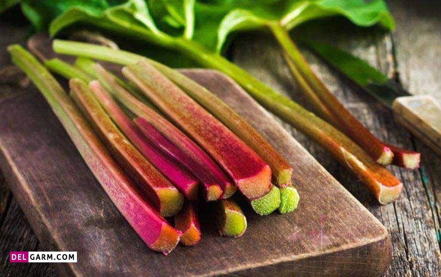 خواص ریواس از دیدگاه طب سنتی 