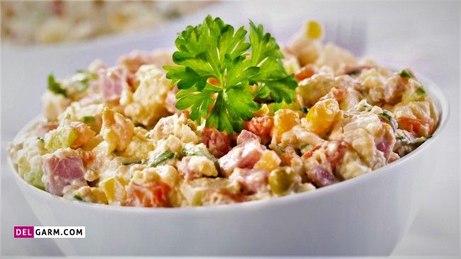 دستور تهیه غذای روسی