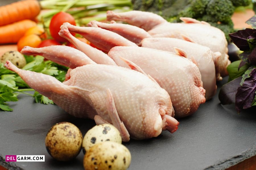 خواص گوشت بلدرچین