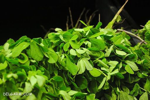 آبگوشت سبزی/دستور تهیه آبگوشت سبزی