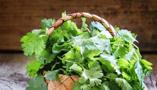 دستور تهیه قلیه میگو/طرز پخت قلیه میگو
