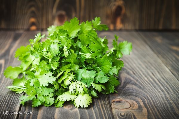 سبزی مخصوص کولی غورابیج/سبزی خورش غورابیج