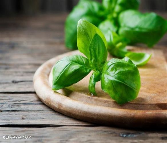 سبزی برای ترشی/سبزی معطر برای ترشی