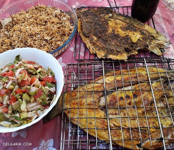 ۲ روش ساده برای تهیه حشو ماهی شکم‌پر جنوبی