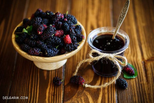 مربا توت : دستور تهیه انواع مربا خوشمزه با توت + عکس