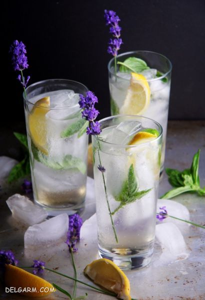 ۴ روش جهت تهیه شربت بیدمشک در منزل و خواص بی نظیر آن + عکس