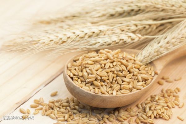 ۳ روش جهت تهیه آش جو در منزل + عکس