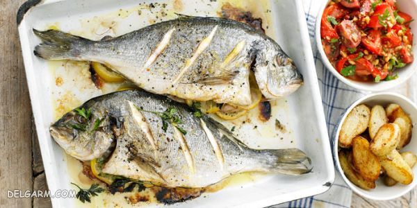 دستور تهیه ۸ غذای دریایی بی نظیر با ماهی + عکس