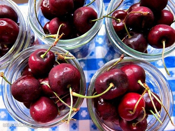 ترشی گیلاس : دستور تهیه ۳ مدل ترشی گیلاس در منزل
