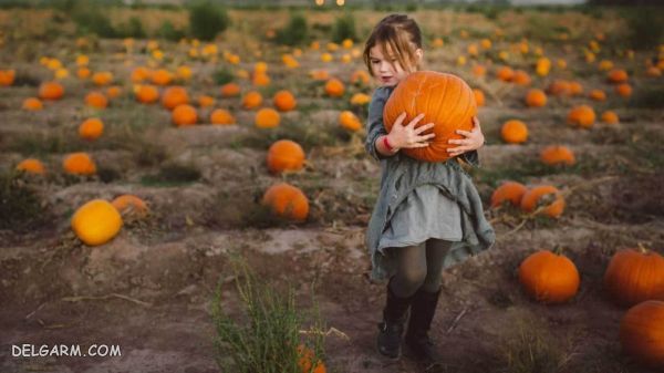 دستور تهیه ۸ مدل آش کدو حلوایی خوشمزه و پرخاصیت + عکس