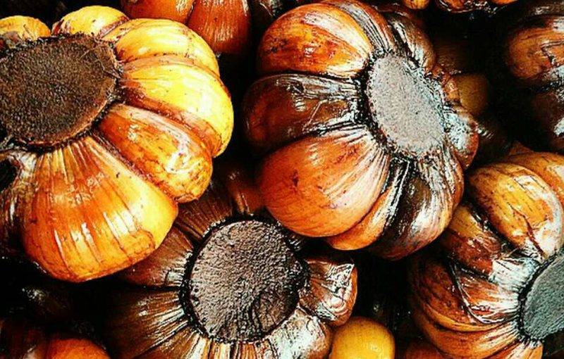ترشی سیر | ۵ روش طلایی و متفاوت برای تهیه سیر ترشی (مرحله به مرحله)
