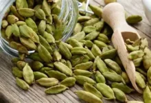 مواد لازم و آموزش آش بادمجان خانگی (مرحله به مرحله)